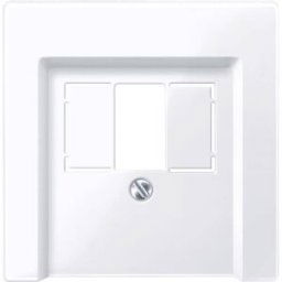 Merten Cache Prise TAE blanc 296025 1 pc(s)