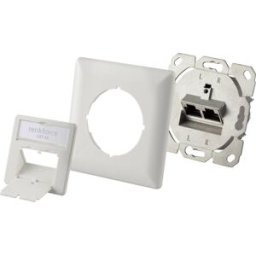 Renkforce Prise réseau encastré insert avec plaque centrale et châssis CAT 6a 2 ports blanc