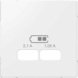 Merten Cache System M blanc polaire MEG4367-0319 1 pc(s)