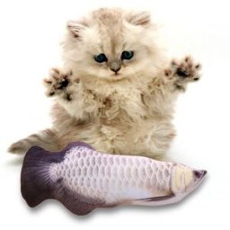 Electric 30cm Plush Fabric Simulation Fish Silver Arowana