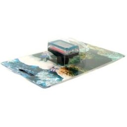 Digital LCD Aquarium Thermometer