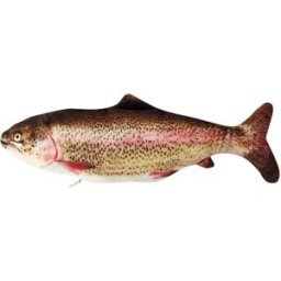 Senneny Electric Moving Fish Cat Toy Rainbow Trout