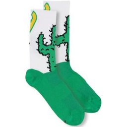 Chaussettes Cinelli Cactus Blanc
