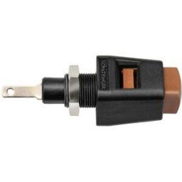 Schützinger Borne à connexion rapide marron 5 A 1 pc(s)