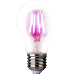 LightMe Ampoule LED pour plantes LM85320 109 mm 230 V E27 4 W forme de poire 1 pc(s)
