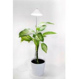 Venso Lampe pour plantes à LED, croissance SUNLiTE XL 25 W Weiß 230 V LED intégrée 25 W blanc neutre 1 pc(s)