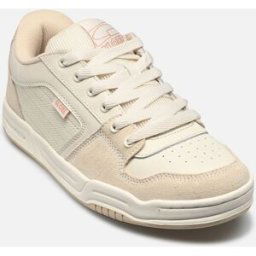 Mojo 2.0 par Globe Beige 42 Homme