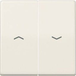 Jung simple Insert Bouton-poussoir crème AS591-5P 1 pc(s)