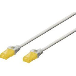 Digitus DK-1613-A-100 RJ45 Câble réseau, câble patch CAT 6a U/UTP 10.00 m gris sans halogène, torsadé par paire 1 pc(s)