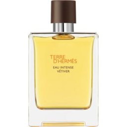 HERMÈS Terre d’Hermès Eau Intense Vétiver Eau de Parfum pour homme 100 ml