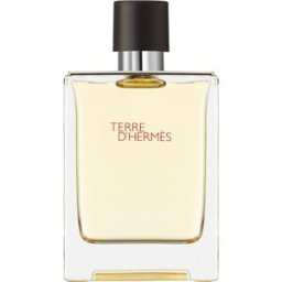 HERMÈS Terre d’Hermès Eau de Toilette pour homme 100 ml