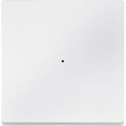 Merten Cache Bouton-poussoir blanc polaire MEG5210-0419 1 pc(s)