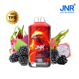 JNR Falcon 28000 Puff Rechargeable Black Dragon Ice 2% Nicotine (100% légale)