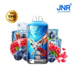 JNR Falcon 28000 Puff Rechargeable Blueberry Pomegranate Ice 2% Nicotine (100% légale)