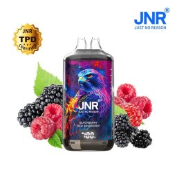 JNR Falcon 28000 Puff Rechargeable Blackberry Red Raspberry 2% Nicotine (100% légale)