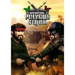 Operation: Polygon Storm PC