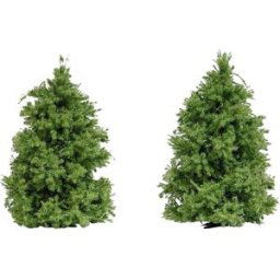 Busch 6122 Arbre mélèze 60 à 60 mm vert 2 pc(s)