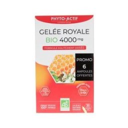 Phyto-Actif Gelée Royale 4000 mg Bio 20 Ampoules dont 6 Ampoules Offertes - Boîte 20 ampoules de 15 ml