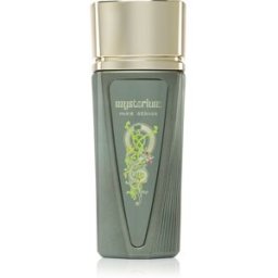 Paris Corner Mysterium Eau de Parfum pour homme 100 ml
