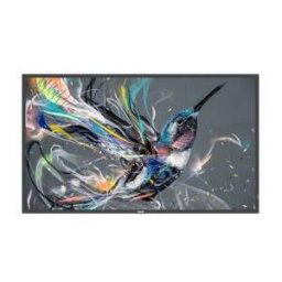 Philips 32bdl3511q/00 écran d'affichage dynamique carte a numérique 81,3 cm (32") 350 cd/m² full hd noir 18/7