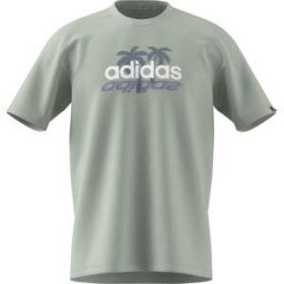 Adidas Graphic Logo T-Shirt Mens Vert lin. 2XL Male