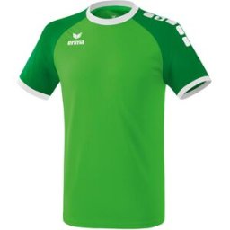 Maillot enfant Erima Zenari 3.0 Vert 8 ans Mixte