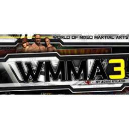 World of Mixed Martial Arts 3 PC