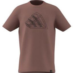 Adidas Logo T Shirt Junior Argile 13 ans Unisex