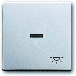 Busch-Jaeger Cache Bascule symbole éclairage Future Linear aluminium banc (RAL 9006), aluminium 2CKA001751A2951 1 pc(s)