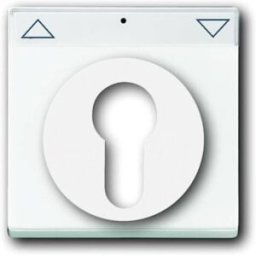 Busch-Jaeger Cache Interrupteur à clé , Bouton-poussoir à clé Axcent blanc, blanc signalisation 2CKA001710A3175 1 pc(s)