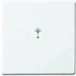 Busch-Jaeger simple Cache Bascule symbole éclairage free@home blanc signalisation, blanc 2CKA006220A0037 1 pc(s)