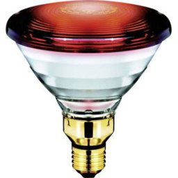 Philips LED Ampoule infrarouge E27 150 W (Ø x L) 121 mm x 136 mm 230 V 1 pc(s)
