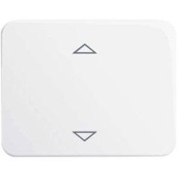 Busch-Jaeger 6430-24G-102 Module dentrée ↑/↓ blanc, blanc signalisation 1 pc(s)
