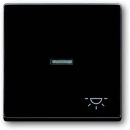 Busch-Jaeger Cache Bascule symbole éclairage Busch-axcent, Carat, Future Linear, Dynasty anthracite, gris-noir 2CKA001751A2931 1 pc(s)