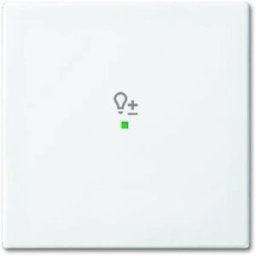 Busch-Jaeger simple Cache free@home blanc, blanc pur (RAL 9010) 2CKA006220A0359 1 pc(s)
