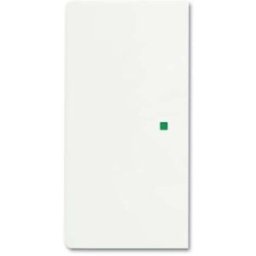 Busch-Jaeger x2 Cache free@home blanc, blanc signalisation 2CKA006220A0486 1 pc(s)