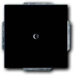 Busch-Jaeger Cache noir profond (RAL 9005), noir 2CKA001710A3900 1 pc(s)