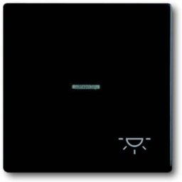 Busch-Jaeger Cache Bascule symbole éclairage Busch-axcent, Future Linear noir profond (RAL 9005), noir 2CKA001751A3045 1 pc(s)