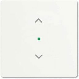 Busch-Jaeger simple Cache free@home blanc, blanc signalisation 2CKA006220A0483 1 pc(s)