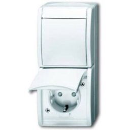 Busch-Jaeger Insert Prise 2P+T blanc pur (RAL 9010), blanc 2CKA001684A0331 1 pc(s)