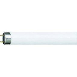 Philips LED Tube fluorescent CEE: G (A - G) G13 58.5 W blanc neutre forme de tube (Ø x L) 26 mm x 1500 mm 10 pc(s)
