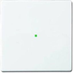 Busch-Jaeger simple Cache free@home blanc signalisation, blanc 2CKA006220A0034 1 pc(s)