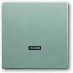 Busch-Jaeger 6543-83-101 Module dentrée sans aluminium, aluminium banc (RAL 9006) 1 pc(s)