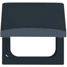 Busch-Jaeger Cache Allwetter 44 (IP44) anthracite, gris-noir 2CKA001710A1936 1 pc(s)
