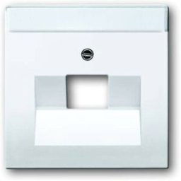 Busch-Jaeger Cache Prise réseau blanc signalisation, blanc 2CKA001710A3165 1 pc(s)