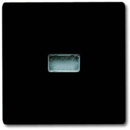 Busch-Jaeger Cache Bouton-poussoir Allwetter 44 (IP44) anthracite, gris-noir 2CKA001731A1742 1 pc(s)