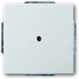 Busch-Jaeger Cache acier inoxydable 2CKA001710A3752 1 pc(s)