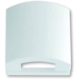 Busch-Jaeger Cache blanc signalisation, blanc 2CKA001710A3167 1 pc(s)