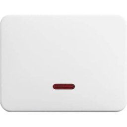 Busch-Jaeger 6543-24G-102 Module dentrée sans blanc signalisation, blanc 1 pc(s)