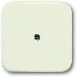 Busch-Jaeger Cache blanc perle, blanc crème 2CKA001724A0244 1 pc(s)